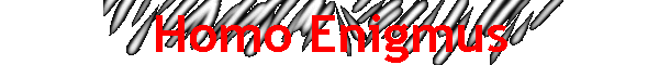 Homo Enigmus